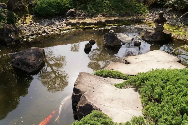 Flatly landscaped garden